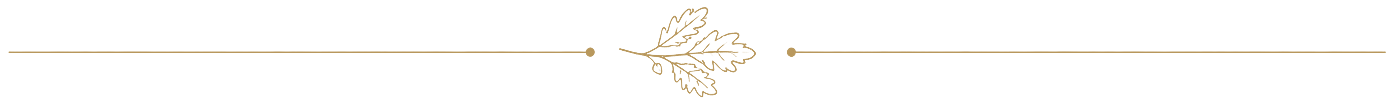 Ornonement_separator_2_LTELC